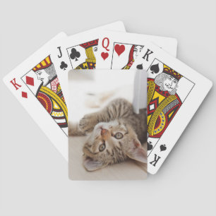 Cutest Baby Animals Shorthair Tabby Kitten Playing Cards