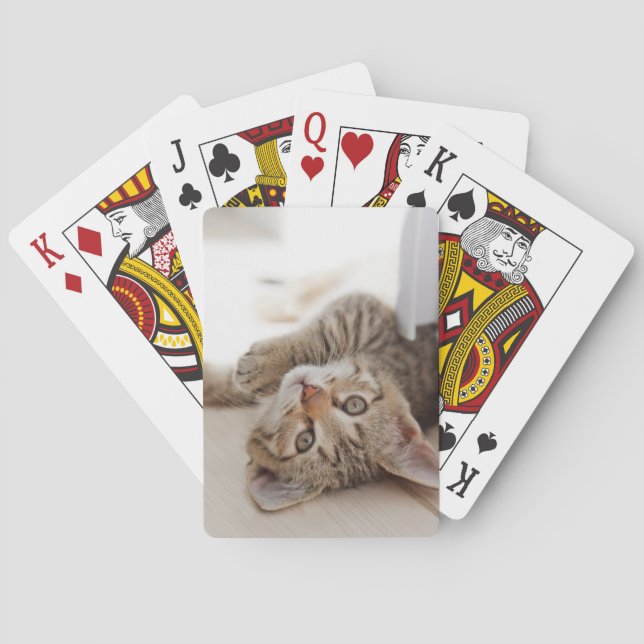 Cutest Baby Animals | Shorthair Tabby Kitten Playing Cards (Back)