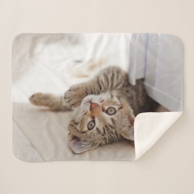 Cutest Baby Animals | Shorthair Tabby Kitten Sherpa Blanket (Front (Horizontal))