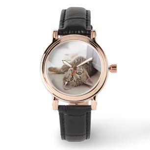 Cutest Baby Animals Shorthair Tabby Kitten Watch