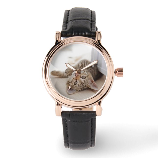 Cutest Baby Animals | Shorthair Tabby Kitten Watch (Front)