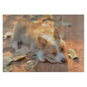 Cutest Baby Animals Shy Corgi Cutting Board
