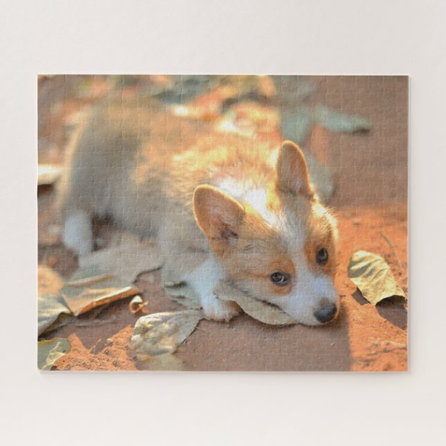 Cutest Baby Animals | Shy Corgi Jigsaw Puzzle (Horizontal)