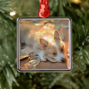Cutest Baby Animals Shy Corgi Metal Tree Decoration