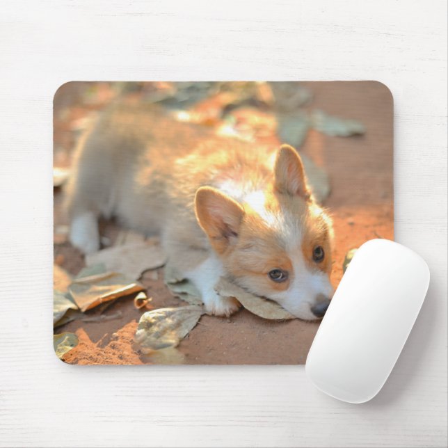 Cutest Baby Animals | Shy Corgi Mouse Mat (With Mouse)