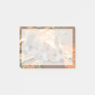 Cutest Baby Animals   Shy Corgi Post-it Notes
