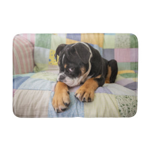 Cutest Baby Animals   Shy Old English Bulldog Bath Mat