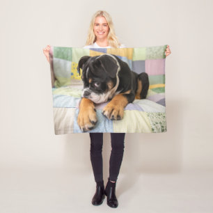 Cutest Baby Animals   Shy Old English Bulldog Fleece Blanket