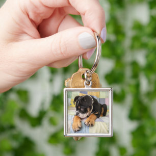 Cutest Baby Animals   Shy Old English Bulldog Key Ring