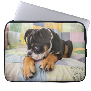 Cutest Baby Animals Shy Old English Bulldog Laptop Sleeve