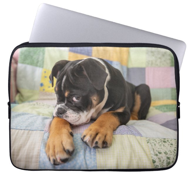 Cutest Baby Animals | Shy Old English Bulldog Laptop Sleeve (Front)