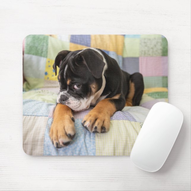 Cutest Baby Animals | Shy Old English Bulldog Mouse Mat (With Mouse)
