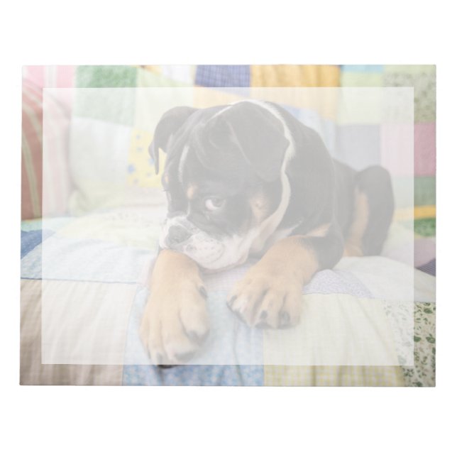 Cutest Baby Animals | Shy Old English Bulldog Notepad (Front)