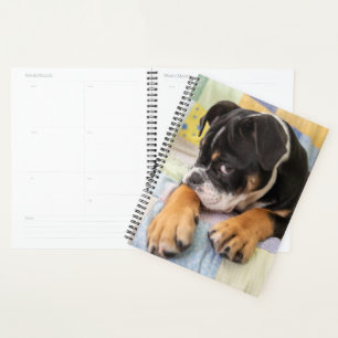 Cutest Baby Animals Shy Old English Bulldog Planner