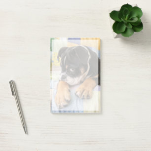 Cutest Baby Animals Shy Old English Bulldog Post-it Notes