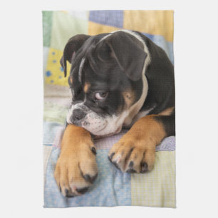 Cutest Baby Animals Shy Old English Bulldog Tea Towel