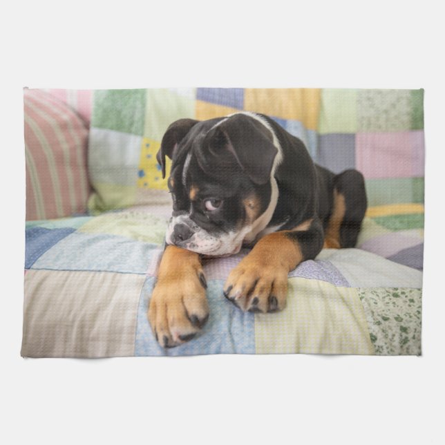 Cutest Baby Animals | Shy Old English Bulldog Tea Towel (Horizontal)