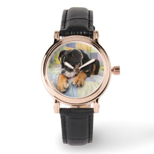 Cutest Baby Animals   Shy Old English Bulldog Watch