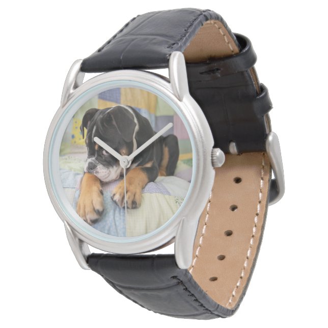 Cutest Baby Animals | Shy Old English Bulldog Watch (Angled)