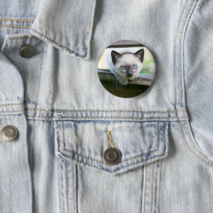 Cutest Baby Animals Siamese Kitten 2 6 Cm Round Badge