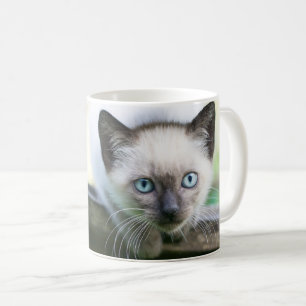 Cutest Baby Animals   Siamese Kitten 2 Coffee Mug