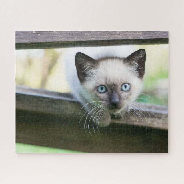Cutest Baby Animals | Siamese Kitten 2 Jigsaw Puzzle (Horizontal)