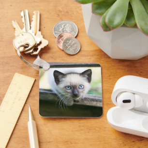 Cutest Baby Animals Siamese Kitten 2 Key Ring