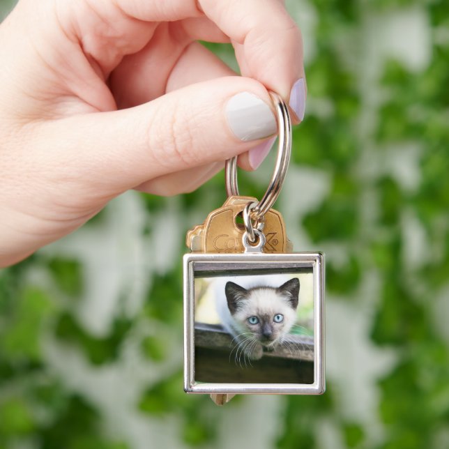 Cutest Baby Animals | Siamese Kitten 2 Key Ring (Hand)