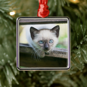 Cutest Baby Animals   Siamese Kitten 2 Metal Tree Decoration