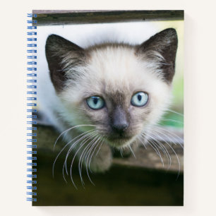 Cutest Baby Animals   Siamese Kitten 2 Notebook