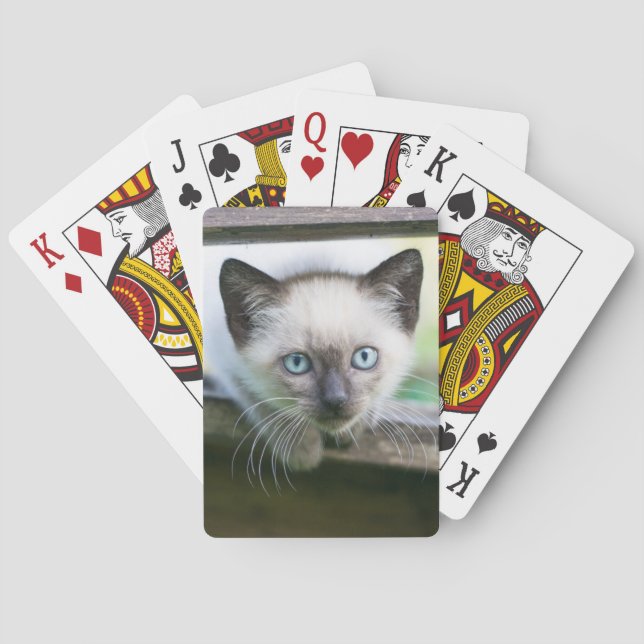 Cutest Baby Animals | Siamese Kitten 2 Playing Cards (Back)