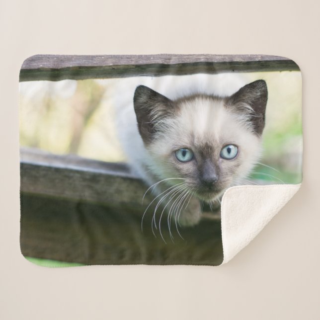 Cutest Baby Animals | Siamese Kitten 2 Sherpa Blanket (Front (Horizontal))