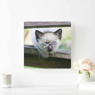 Cutest Baby Animals   Siamese Kitten 2 Square Wall Clock
