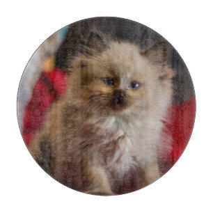 Cutest Baby Animals Siamese Kitten Cutting Board