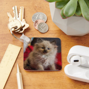 Cutest Baby Animals Siamese Kitten Key Ring