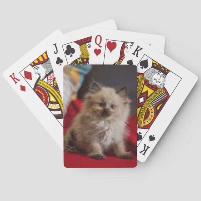Cutest Baby Animals | Siamese Kitten Playing Cards (Back)