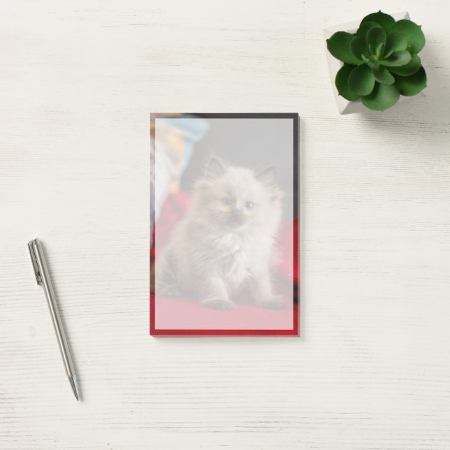 Cutest Baby Animals | Siamese Kitten Post-it Notes (Office)