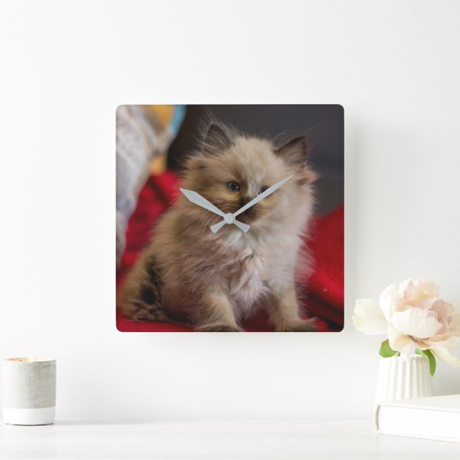 Cutest Baby Animals | Siamese Kitten Square Wall Clock (Home)
