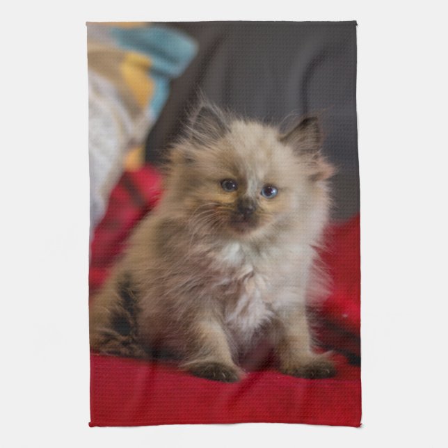Cutest Baby Animals | Siamese Kitten Tea Towel (Vertical)