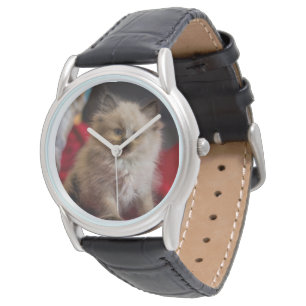 Cutest Baby Animals Siamese Kitten Watch