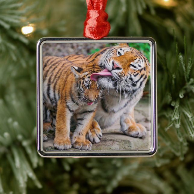 Cutest Baby Animals | Siberian Tiger Family Metal Tree Decoration (Tree)