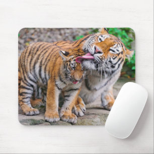 Cutest Baby Animals   Siberian Tiger Family Mouse Mat