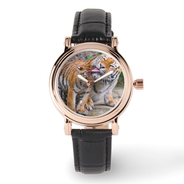 Cutest Baby Animals | Siberian Tiger Family Watch (Front)