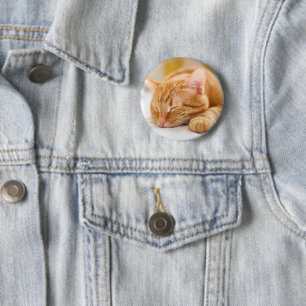 Cutest Baby Animals   Sleeping Ginger Cat 6 Cm Round Badge