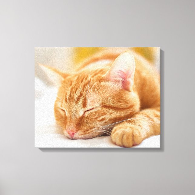 Cutest Baby Animals | Sleeping Ginger Cat Canvas Print (Front)