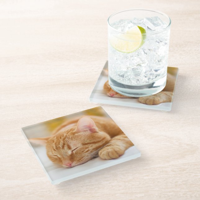 Cutest Baby Animals | Sleeping Ginger Cat Glass Coaster (Angled)