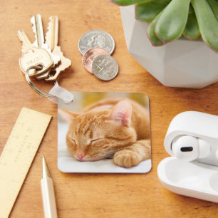 Cutest Baby Animals   Sleeping Ginger Cat Key Ring