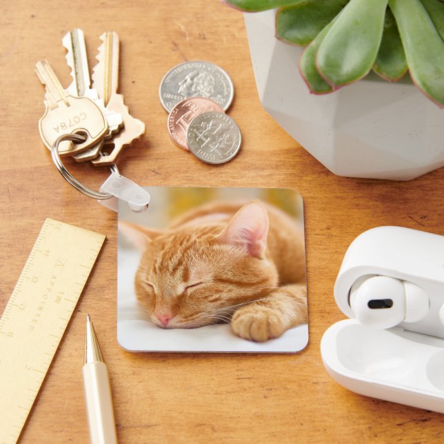 Cutest Baby Animals | Sleeping Ginger Cat Key Ring (Desk)