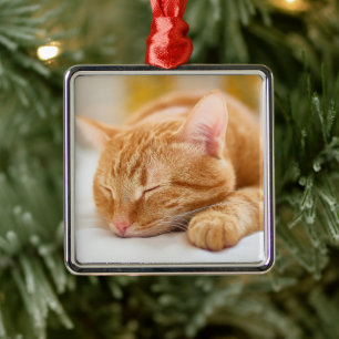 Cutest Baby Animals   Sleeping Ginger Cat Metal Tree Decoration