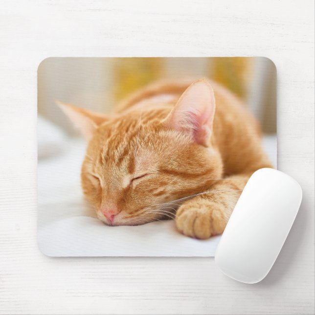 Cutest Baby Animals | Sleeping Ginger Cat Mouse Mat (With Mouse)